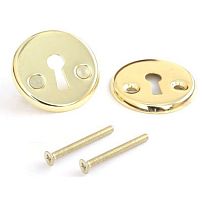 Накладка Апекс DP-S-06-G золото для 6000-WC/S (27)