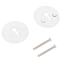 Накладка Апекс DP-S-06-W белый для замка 6000-WC/S (27) Накладка Апекс DP-S-06-W белый для замка 6000-WC/S (27)
