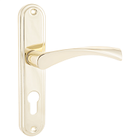 АЛЛЮР 103-1 55 мм GP латунь Комплект ручек (12,20) АЛЛЮР 103-1 55 мм GP латунь Комплект ручек (12,20)