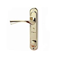 Апекс HР-61.0723-S-C-G-L лев.латунь к замку Балашиха ЗВСП-ЗЩЗД Комплект ручек (12) Апекс HР-61.0723-S-C-G-L лев.латунь к замку Балашиха ЗВСП-ЗЩЗД Комплект ручек (12)