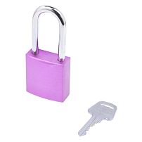 BD-A18 Purple замок навесной 